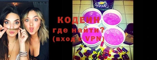 хмурый Лиски