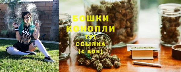 хмурый Лиски